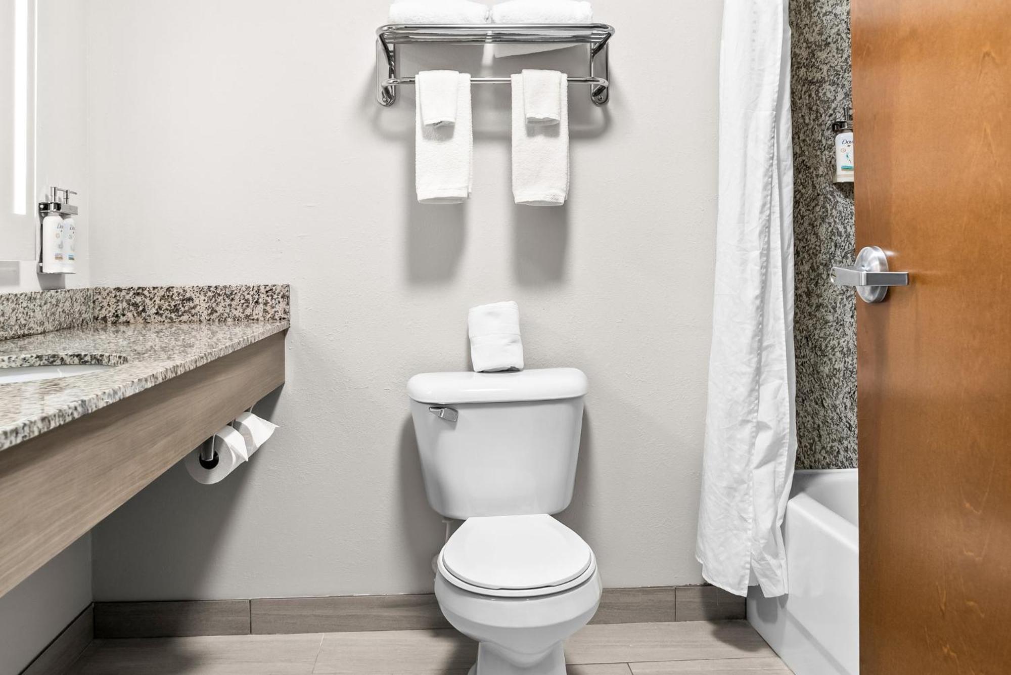 Holiday Inn Express & Suites Detroit - Novi By Ihg Kültér fotó